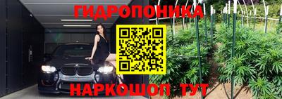 шишки Ликино-Дулёво